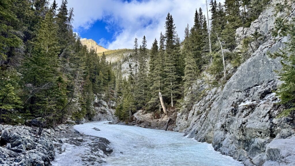 Frozen Icewalk on the Way to Grotto Canyon Icefall, one of the best hikes in Kananaskis
