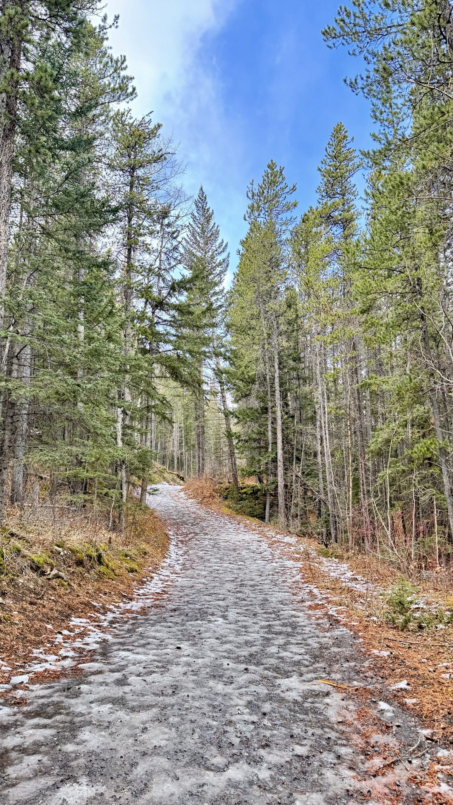 On the way to Heart Creek Bunker and the snow on the trail has nearly all melted