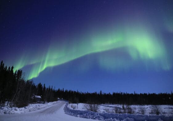 Aurora in Prelude Lake, a popular aurora viewing location close to Yellowknife