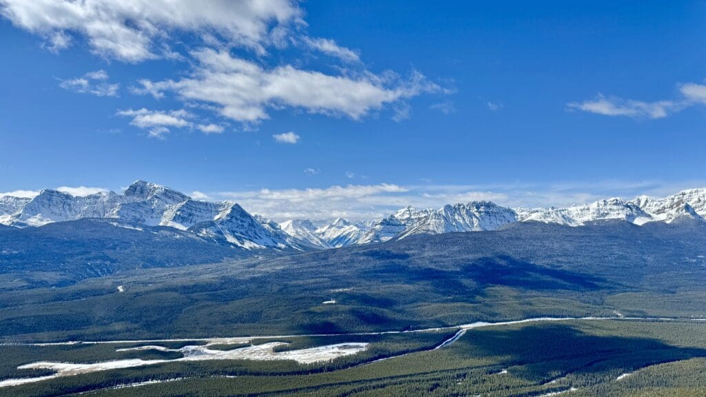Sweeping panoramic view of snow-covered mountain ranges from near the top of Castle Lookout Trail in Banff National Park, with dense green forest below under a vivid blue sky.