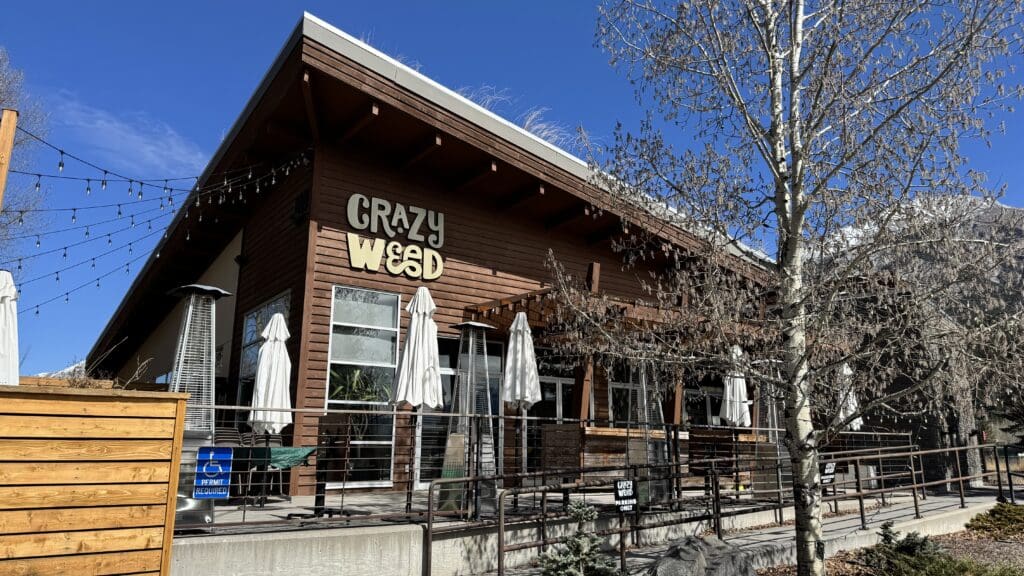 Exterior of Crazyweed Kitchen featuring a modern wooden façade, outdoor patio with heaters and string lights, and a clear view of the restaurant’s unique sign under a bright blue sky.
