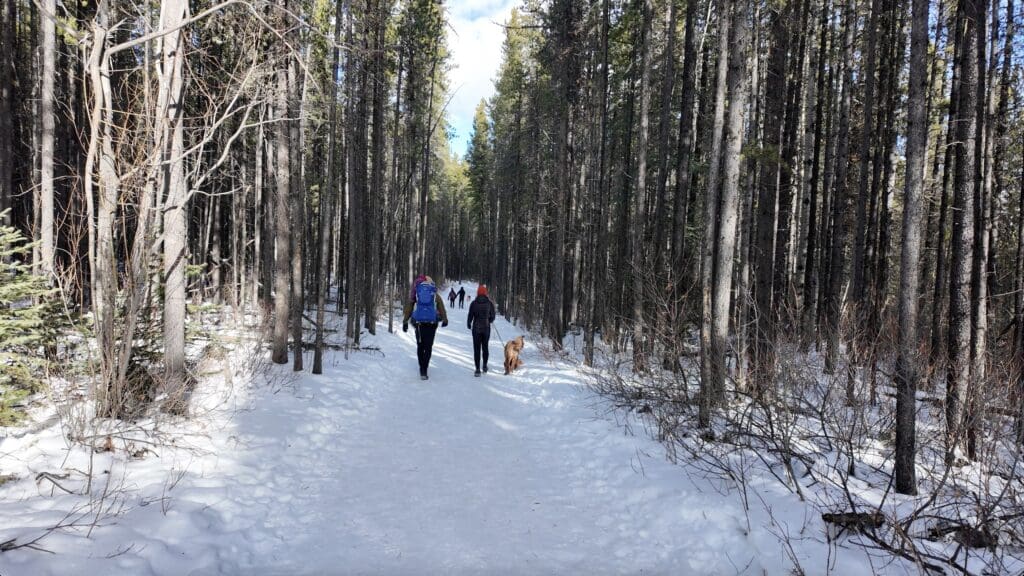 A family walking along Troll Falls Trail with packed snow with their kid and dog