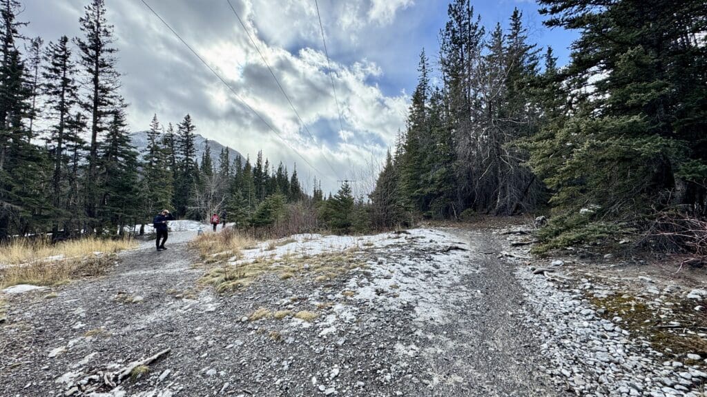 There are several folks in the road on the first part of the Grotto Canyon trail in Kananaskis