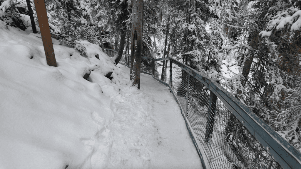 On the way back to Lower Falls in Johnston Canyon in Banff National Park