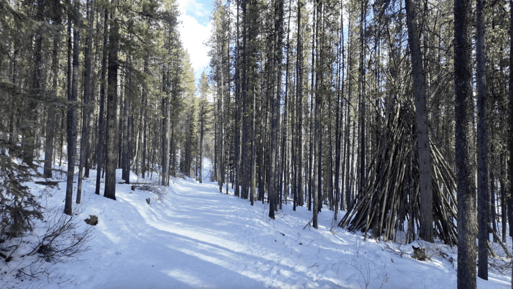 The packed snow trail to Troll Falls with a big camp-like wooden structure on the right of the road