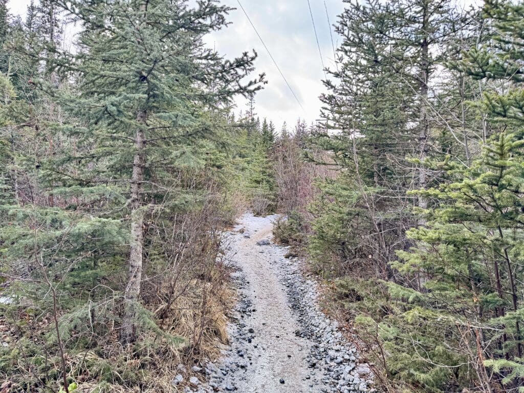 The Grotto Canyon hike in Kananaskis starts with a well-maintained gravel path