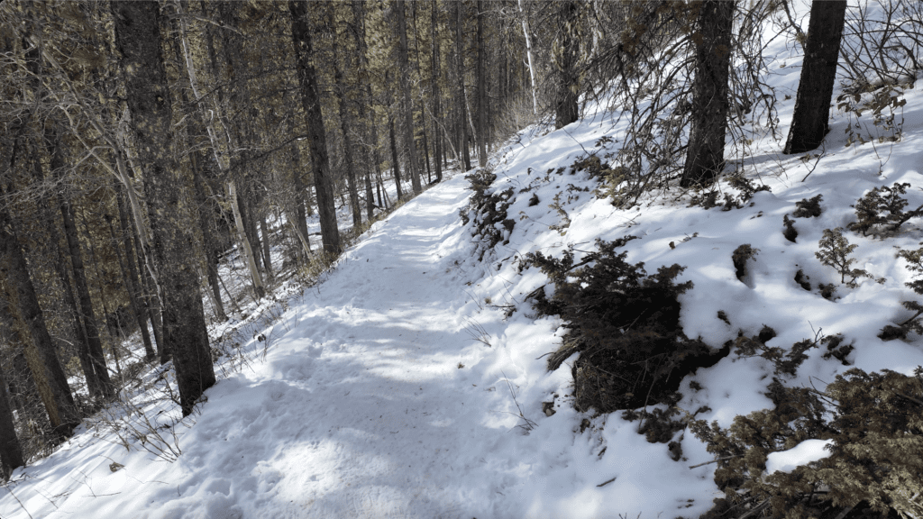The well-maintained narrow path heading to Marmot Falls in Kananaskis