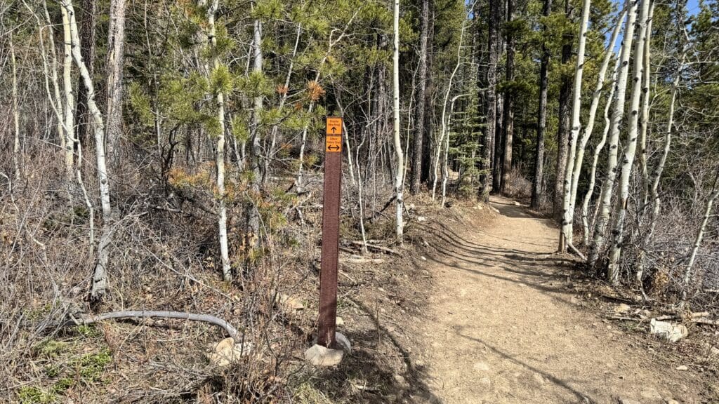 Trail marker for Prairie Mountain and Elbow Trail junction in forested area with dirt hiking path