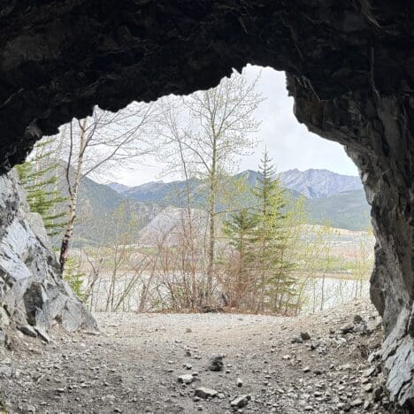 View from inside Heart Creek Bunker in Canmore, Alberta looking out at a serene landscape of trees and distant mountains under a cloudy sky