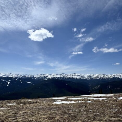 Panoramic view from Prairie Mountain summit in Kananaskis Alberta Canada showcasing snow capped peaks dense evergreen forests and wide open blue sky in the Canadian Rockies