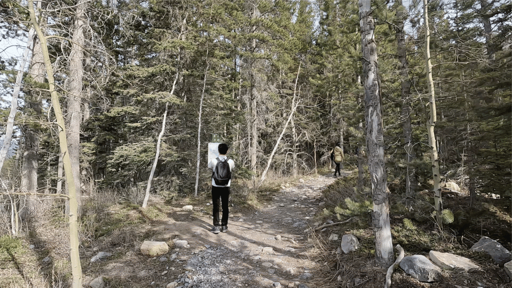 Two people walking on a forest trail to West Wind Pass in Kananaskis, Alberta, surrounded by tall trees and scattered rocks. One person stops to read a sign, creating a calm, exploratory mood.