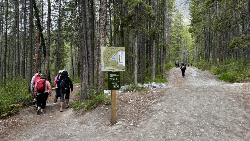 Hikers walk on a forest trail, surrounded by tall pine trees. A trail sign with a map stands in the center, indicating two different paths of Grassi Lakes Trail in Kananaskis, Alberta ahead.