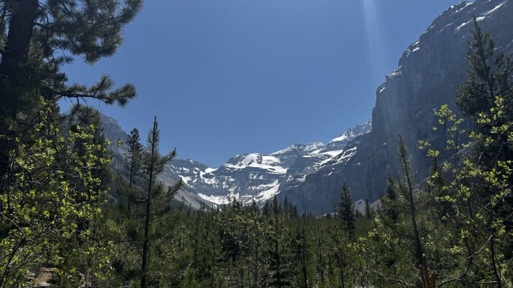 Majestic snow-capped Stanley Glacier in Kootenay National Park, BC under a clear blue sky, framed by pine trees and lush greenery. The scene conveys a peaceful, awe-inspiring wilderness.