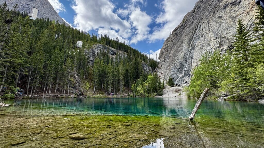 A tranquil turquoise Grassi Lakes in Kananaskis, Alberta with crystal-clear waters reflects surrounding pine trees and towering rocky cliffs. A lone tree trunk stands in the water, set against a backdrop of a bright blue sky with scattered clouds, conveying a serene and peaceful atmosphere.