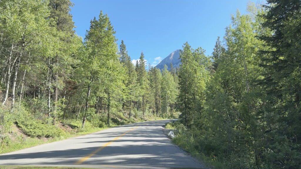 Lake Minnewanka Scenic Drive in Banff National Park, Alberta leads through a lush forest with tall greenery, sunlit leaves, and shadows. A mountain peak is visible under a clear blue sky. Peaceful scene.