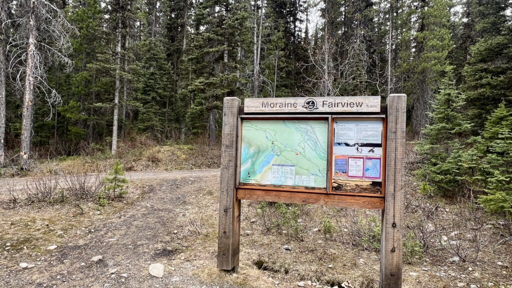 Wooden trail map sign for Moraine Lake and Fairview Trails in Banff National Park stands amid a dense evergreen forest.