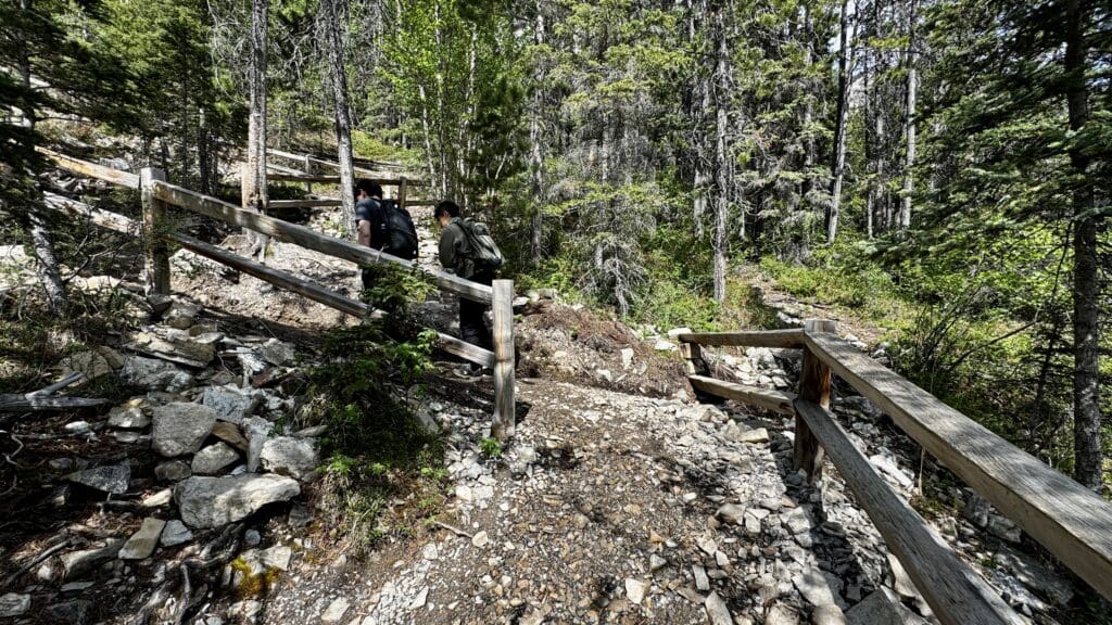 Two hikers walk up the rocky, wooded Grassi Lakes Trail in Kananaskis, Alberta bordered by a rustic wooden fence. Tall trees surround them