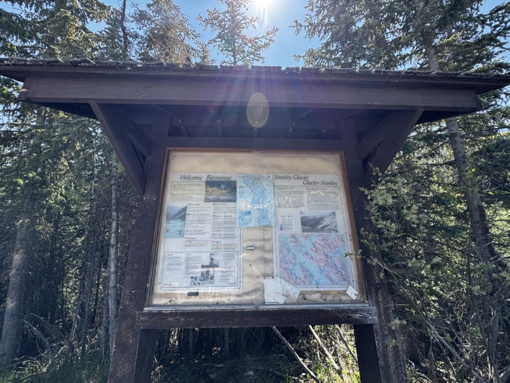A wooden information board stands in a forest, displaying maps and guides about the Stanley Glacier in Kootenay National Park, BC. Sunlight streams through the trees, creating a serene, inviting atmosphere.