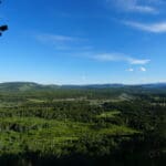 Scenic landscape of vast green forests and rolling hills viewing from Fullerton Loop in Kananaskis, Alberta under a bright blue sky, evoking a peaceful, expansive, and natural atmosphere.