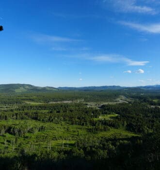 Scenic landscape of vast green forests and rolling hills viewing from Fullerton Loop in Kananaskis, Alberta under a bright blue sky, evoking a peaceful, expansive, and natural atmosphere.