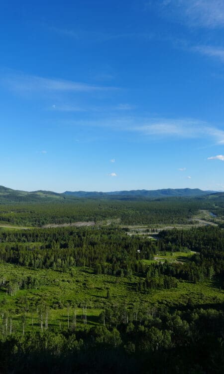 Scenic landscape of vast green forests and rolling hills viewing from Fullerton Loop in Kananaskis, Alberta under a bright blue sky, evoking a peaceful, expansive, and natural atmosphere.