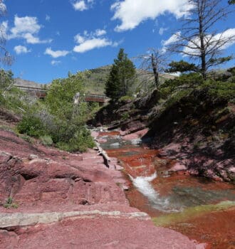 A serene creek flows between striking red rock formations in Red Rock Canyon in Waterton Lakes National Park, Alberta and lush greenery under a bright blue sky with fluffy clouds. The scene feels tranquil and vibrant.
