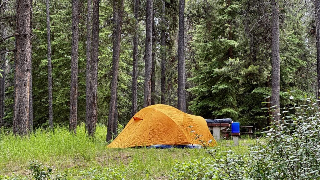Bright orange tent nestled in lush green forest in Two Jack Lake in Banff National Park, Alberta, surrounded by tall trees and thick underbrush, conveying a sense of tranquility and adventure.